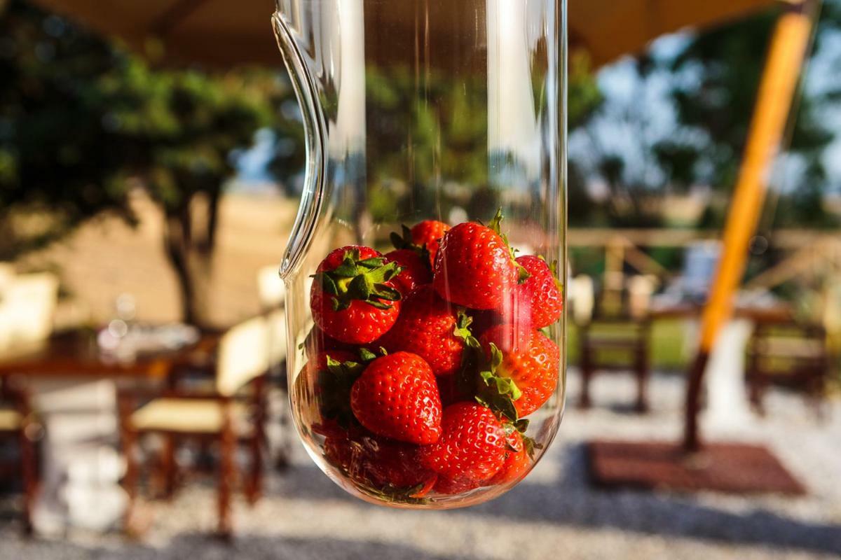 Il Montelletto Bed and Breakfast Santa Luce Exteriör bild